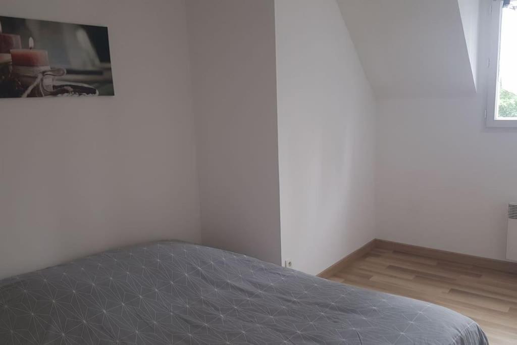 Logement Plein Centre De Plerin A Proximite Des Plages Et Des Commerces Exteriér fotografie